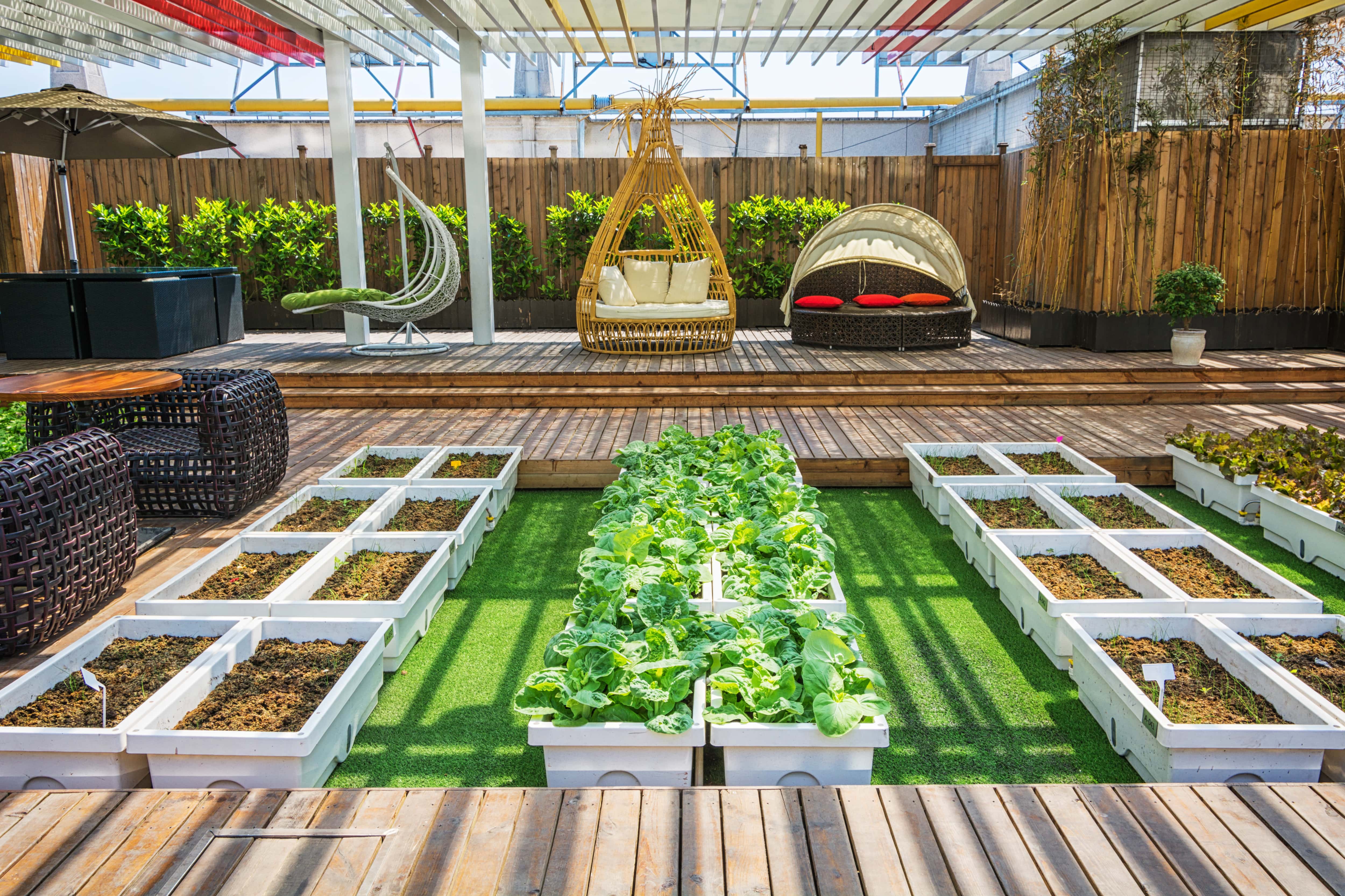 Landscape Design Consultants: What They Do and Why Your Project Needs One